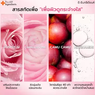 โรสโกลว์ เจล มอยส์เจอร์ พุดเด้งเจล Rose Glow Moisture 1 กล่อง 6 ซอง