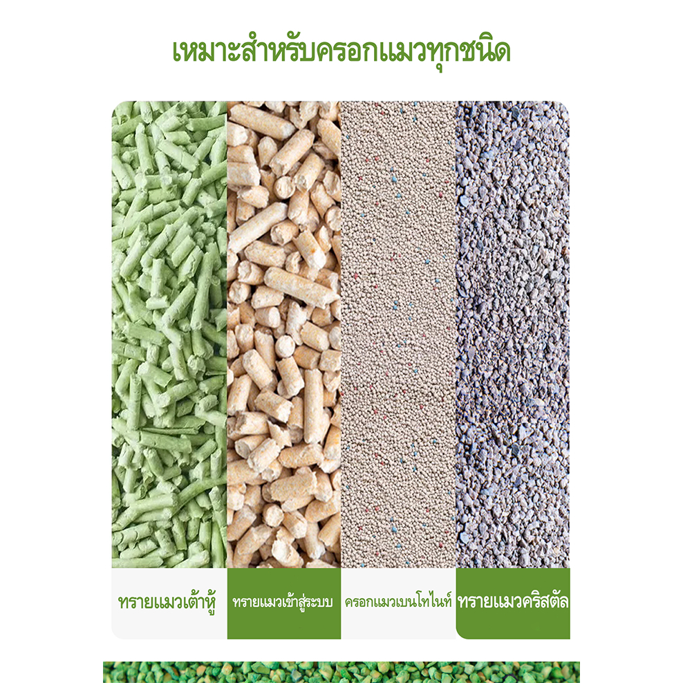 รูปภาพ 7