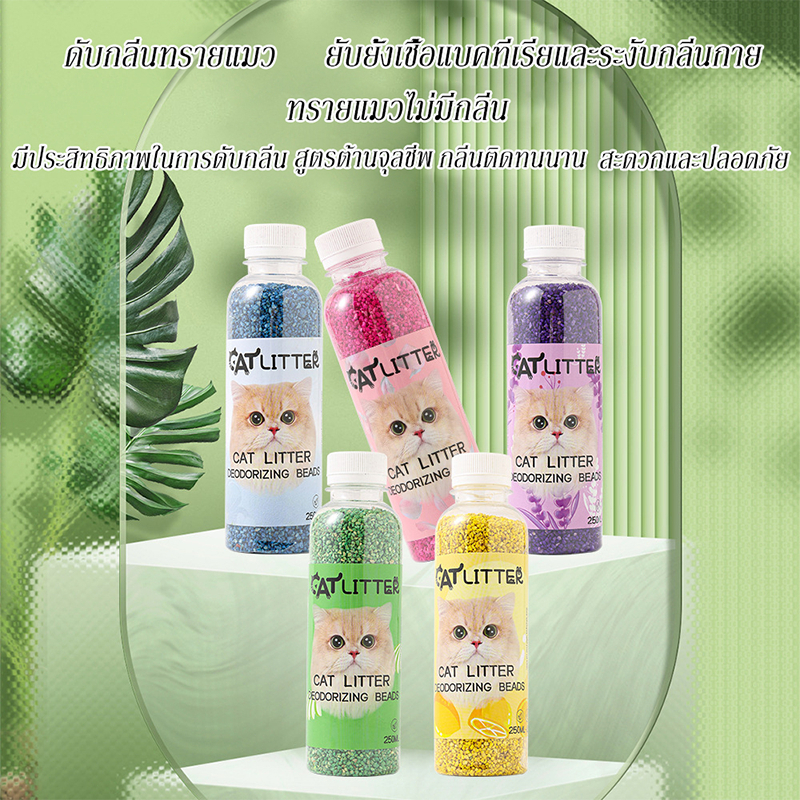 รูปภาพ 9