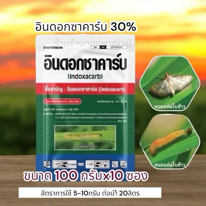 อินดอกซาคาร์บ 30%ขนาด 100กรัมx10ซอง กำจัดหนอนดื้อยาทุกชนิด หนอนผีเสื้อทุกชนิดหนอนม้วนใบ หนอนกระทู้ หนอนเจาะผล