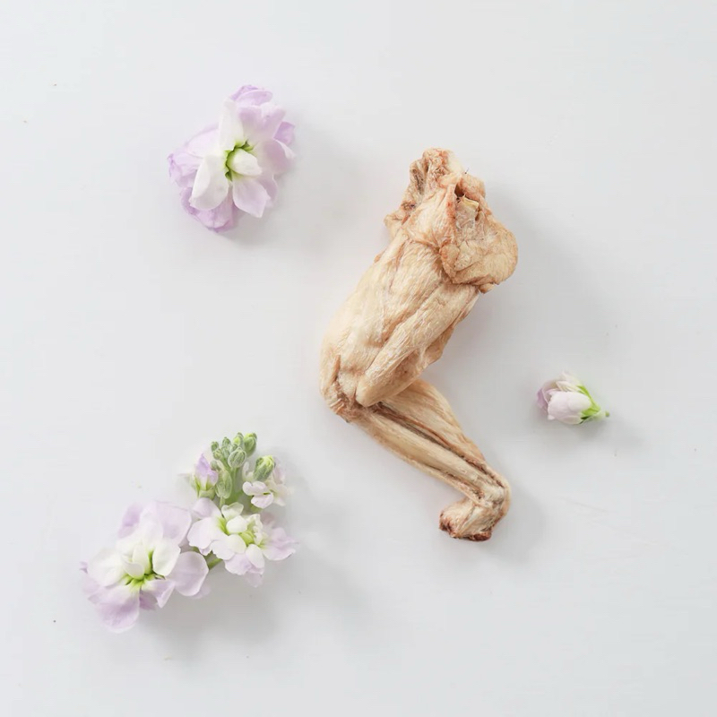 Taki - Bull frog legs ขากบฟรีซดรายสำหรับสุนัข