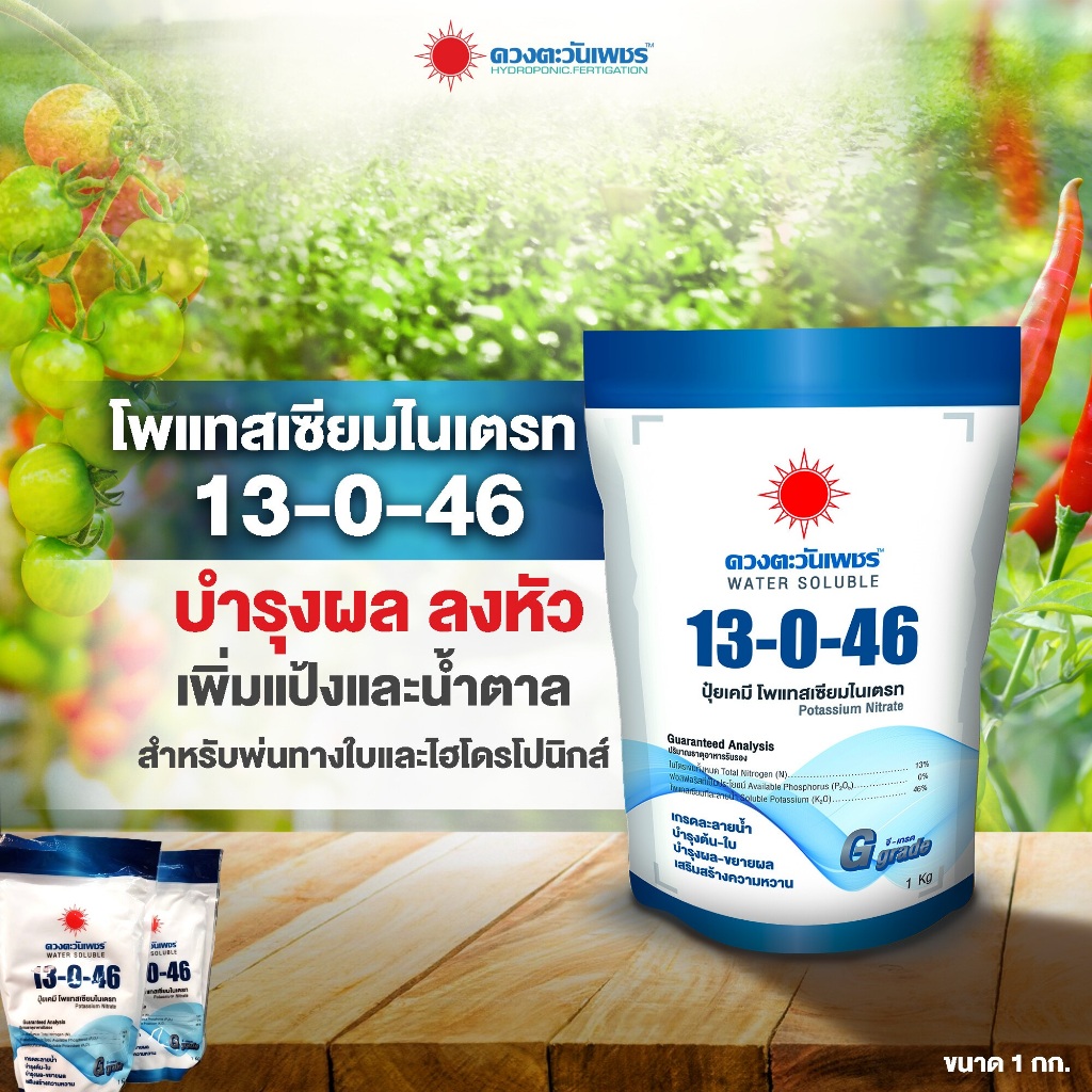 13-0-46 ปุ๋ยเกล็ด ดวงตะวันเพชร ขนาด 1 กก.(ราคาต่อ 1 ถุง) ขยายขนาดผล เพิ่มแป้ง เพิ่มความหวานในไม้ผล