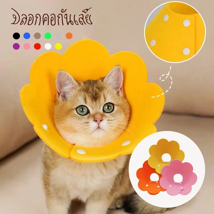 TUBI ปลอกคอแมวกู้คืน สุนัขสัตว์เลี้ยง อลิซาเบธ รูปกรวยเล็กคอดอกกลมน่ารัก หลังผ่าตัด4.9