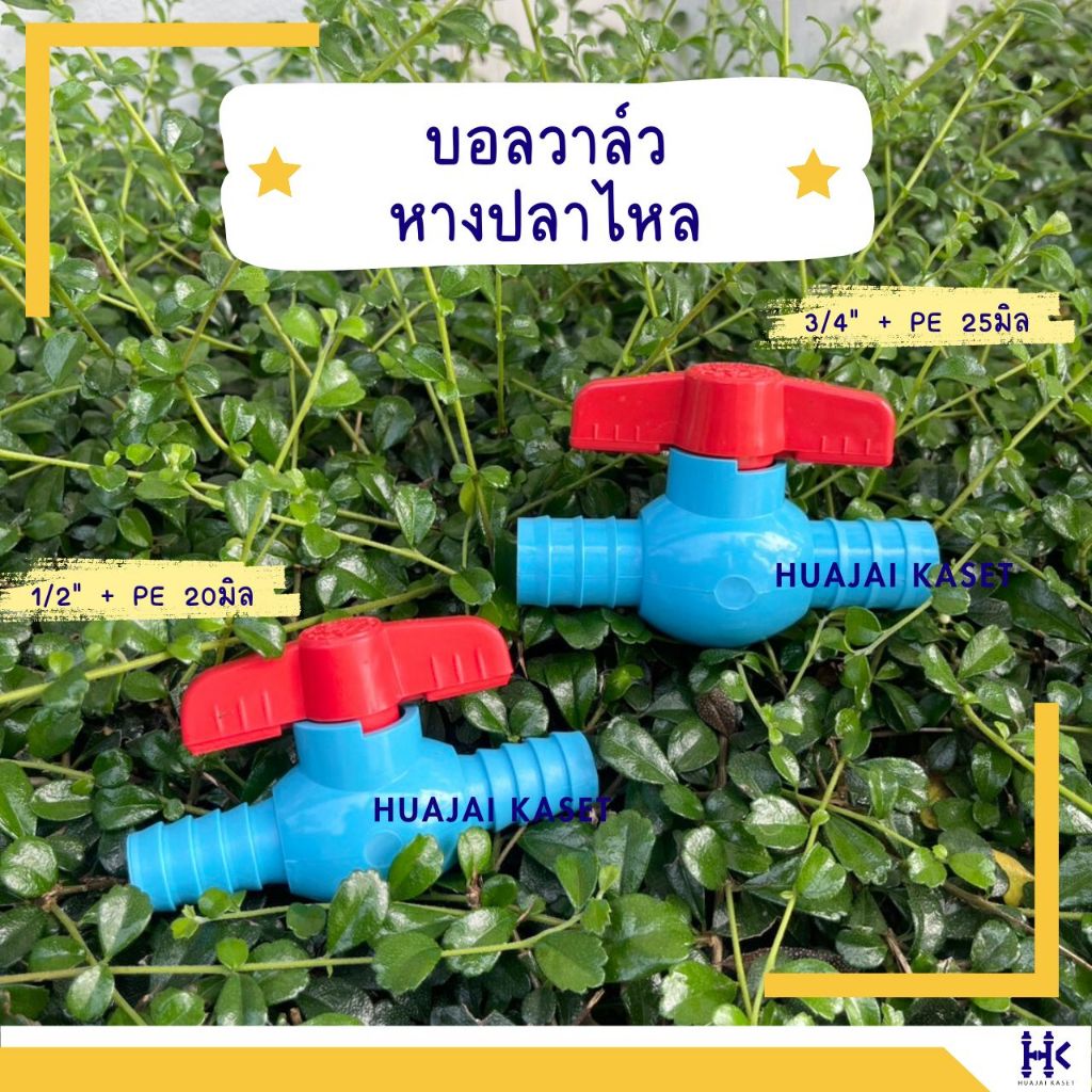บอลวาล์วหางปลาไหล ขนาด 1/2" + PE20มิล รูปที่ 4