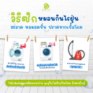 KIDEE 3D - หมอนเด็ก ไมโครเจล ผ้าหุ้มป้องกันไร มีซิปปรับระดับการนอนได้