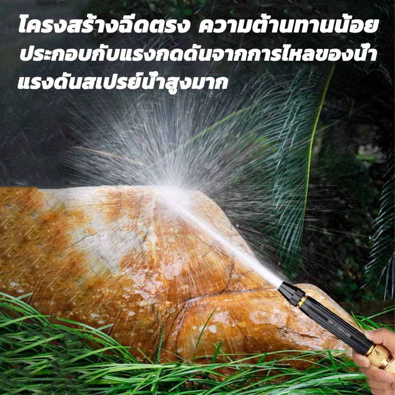 รูปภาพ 2