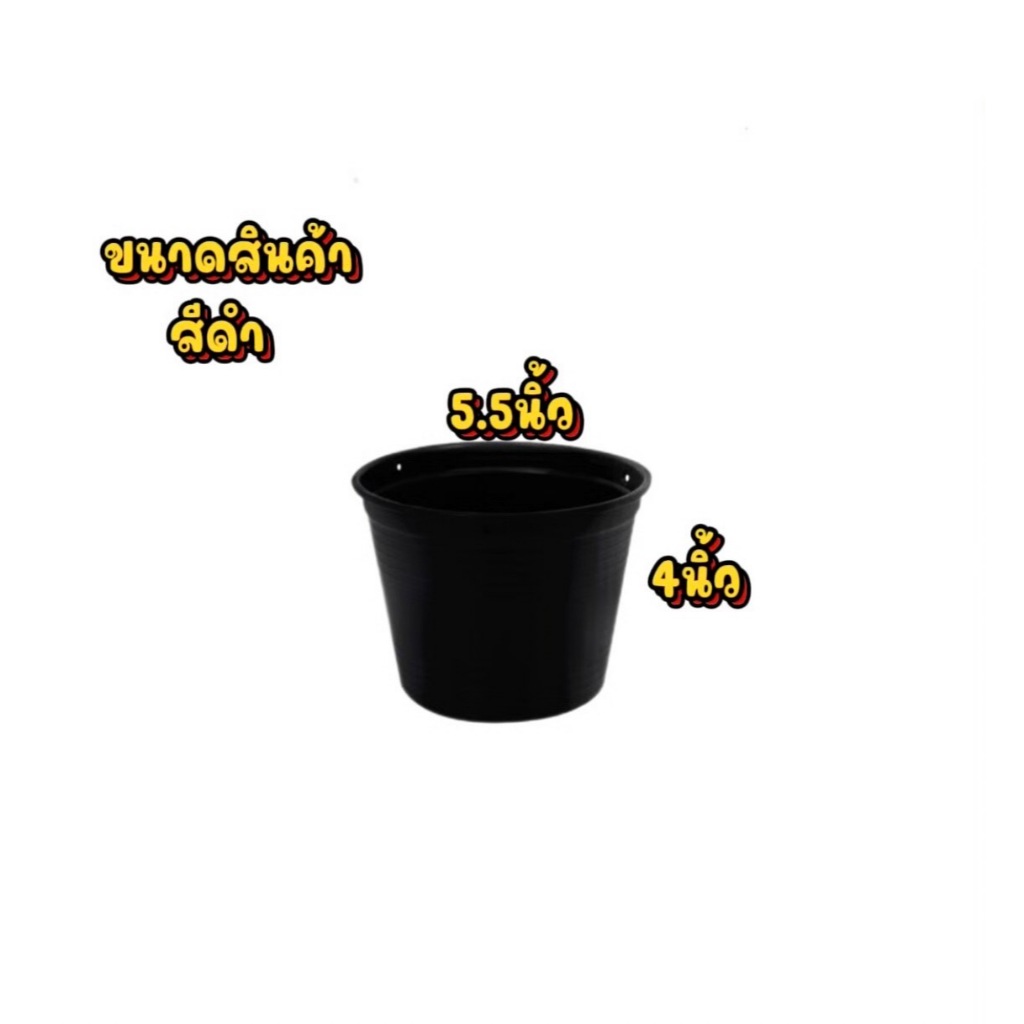 [กระถางราคาถูก] พร้อมส่ง กระถางต้นไม้พลาสติกสีดำ 4 นิ้ว 5.5 นิ้ว 6 นิ้ว 8 นิ้ว 10 นิ้ว - รูปที่ 5