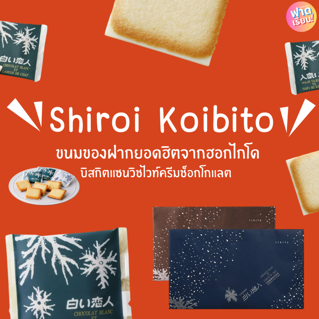 💫Shiroi Koibito ชิโรอิ บิสกิตแซนวิชไวท์ครีมช็อกโกแลต ของฝากยอดฮิตจากฮอกไดโด💥