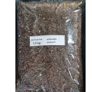 แกลบหมัก แกลบเก่า 1.5 kg. คุณภาพสูง ใช้ผสมดิน เร่งการแตกยอด ใบเขียว ต้นไม้สมบูรณ์ Old Husk Ash