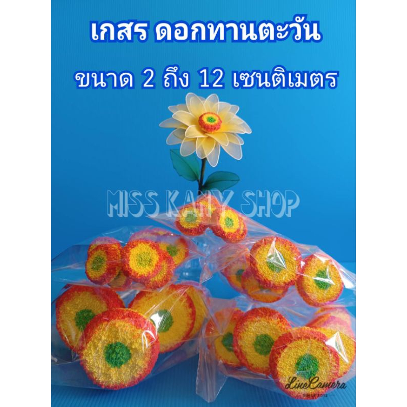 เกสรดอกทานตะวัน เกสรประดิษฐ์