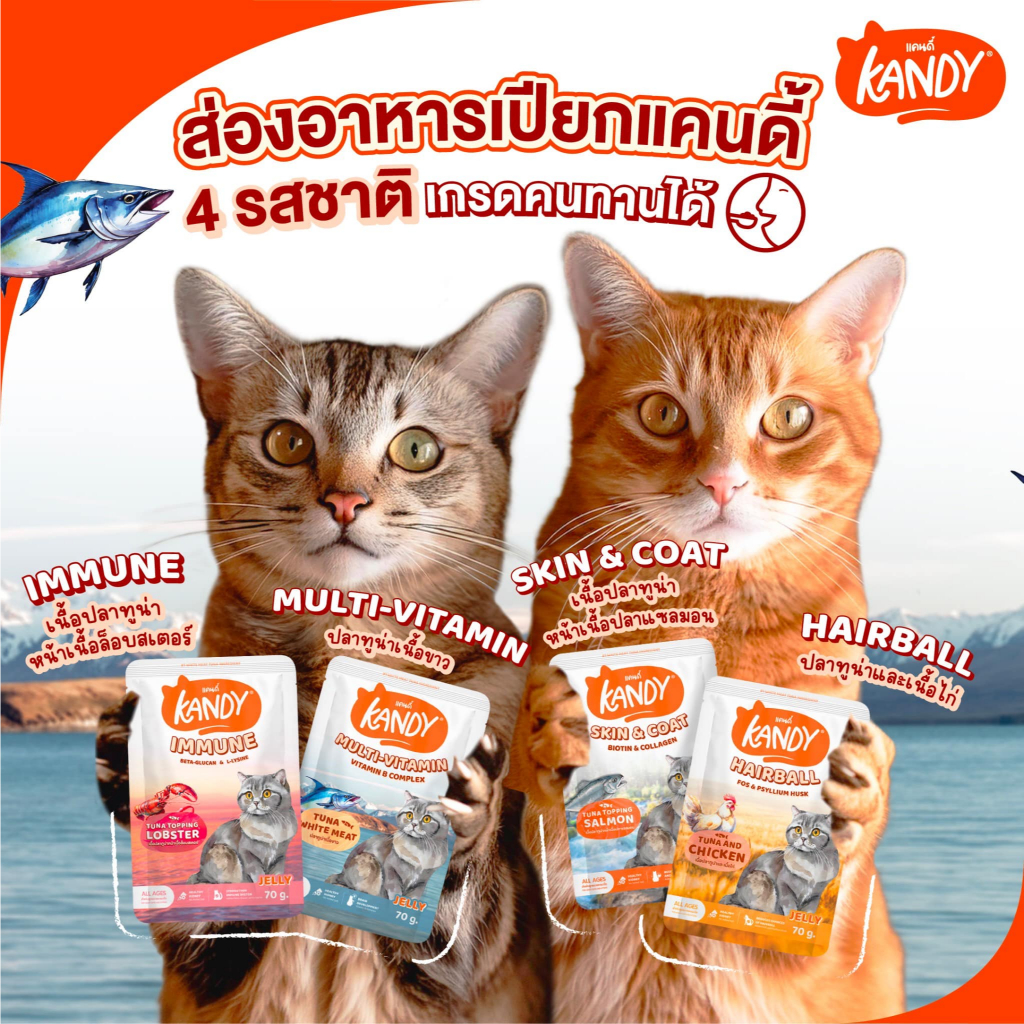 😻 Kandy Kandy อาหารเปียกแมว แคนดี้ ขนาดซองละ 70 กรัม [แบบลัง 48ซอง] - รูปที่ 3
