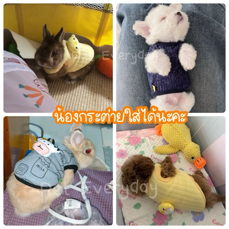 🔥ส่งฟรี 🇹🇭🔥เสื้อสัตว์เลี้ยงแรกเกิด ชุดลูกแมว สัตว์ขนาดเล็ก - รูปที่ 6