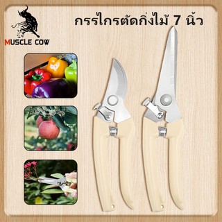 MUSCLE COWกรรไกร กรรไกรอเนกประสงค์ 8 นิ้ว กรรไกรตัดโลหะ สแตนเลส ตัดซีลาย ตัดสังกะสี ตัดแผ่นมิเนียม กรรไกรตัดกิ่งไม้White