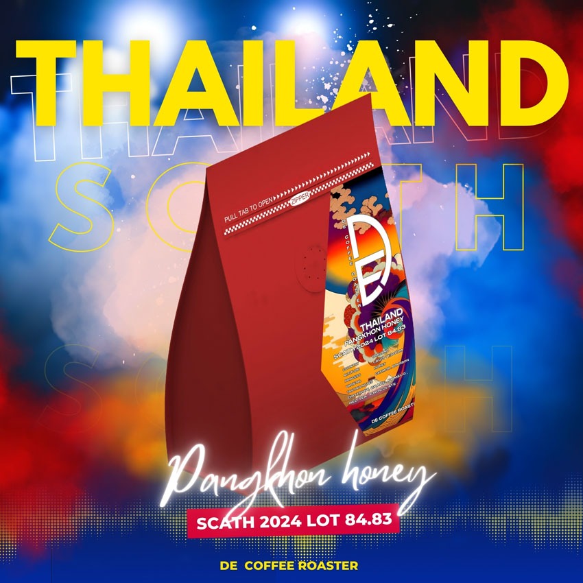 เมล็ดกาแฟคั่ว ปางขอน honey scath 2024 84.83