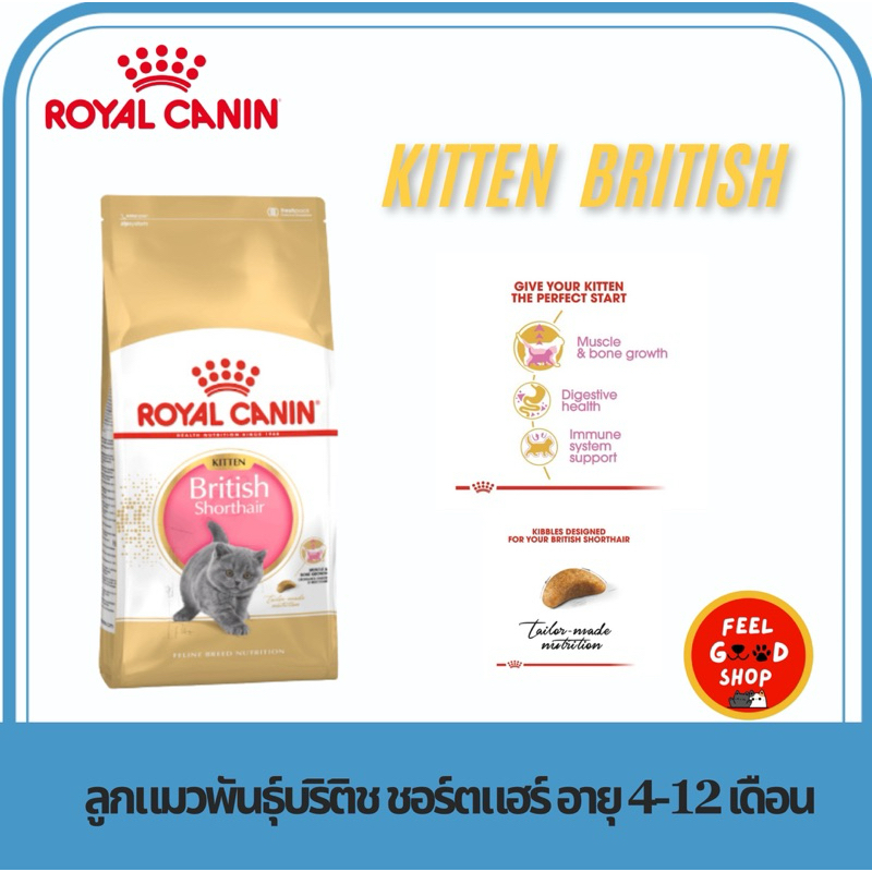 Royal canin Kitten british 2 kg. สำหรับลูกแมวบริติช ชอร์ตแฮร์