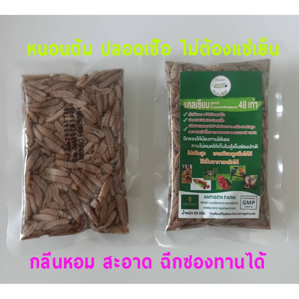 หนอน BSF สเตอไรส์ฆ่าเชื้อ100% มาตรฐาน GMP ดีกว่า หนอนต้ม หนอนแช่แข็ง ไม่ต้องแช่เย็น ฉีกซองให้เลย สะดวกพกพาขนาด 50 กรัม