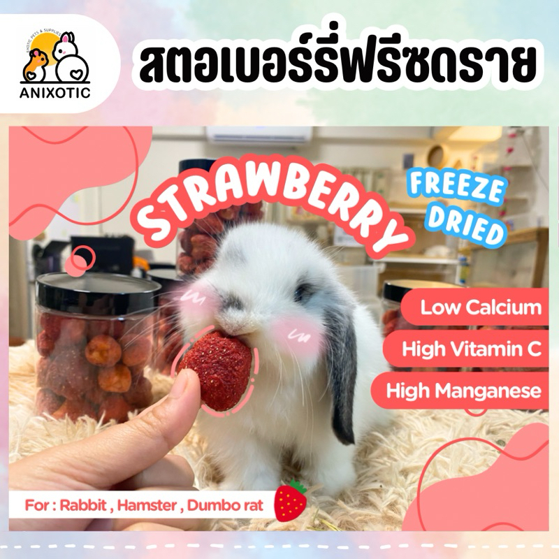 Strawberry Freeze Dried สตอเบอรี่ฟรีซดราย สตรอวเบอร์รี่ฟรีซดราย ขนมกระต่าย
