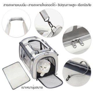 PetStern กระเป๋าแมวใบใหญ่ แมวพับได้ กระเป๋าแมวแบบใส