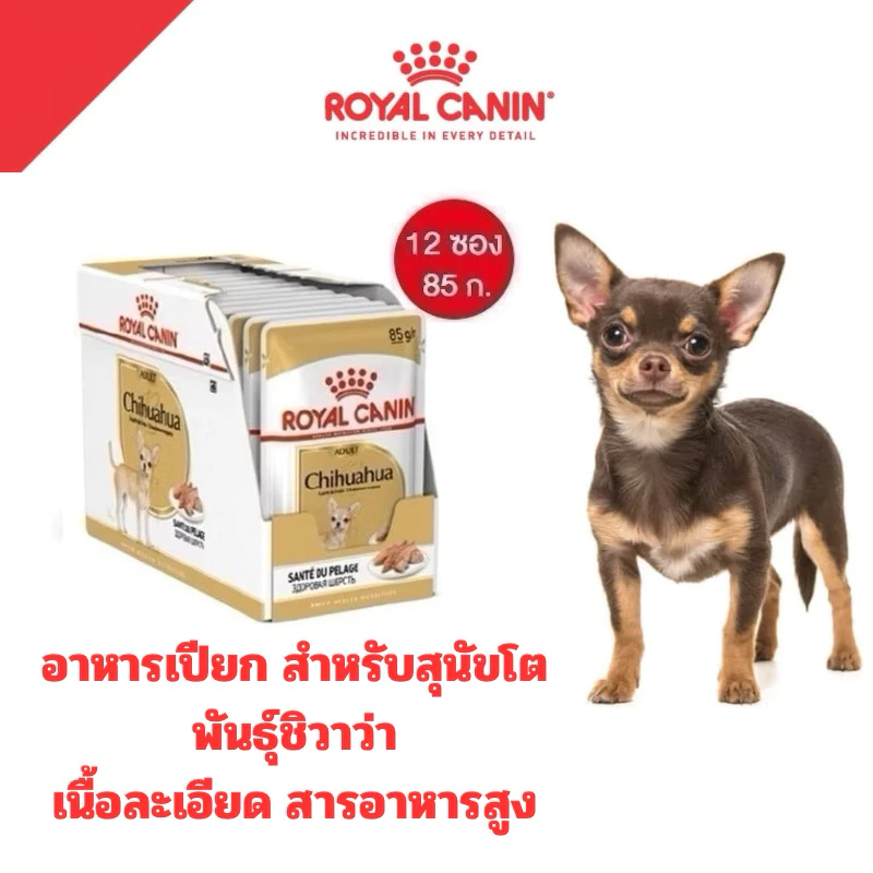 [1กล่อง12ซอง] ROYAL CANIN CHIHUAHUA Adult อาหารเปียก สุนัขพันธุ์ ชิวาว่า โต 85g*12ซอง