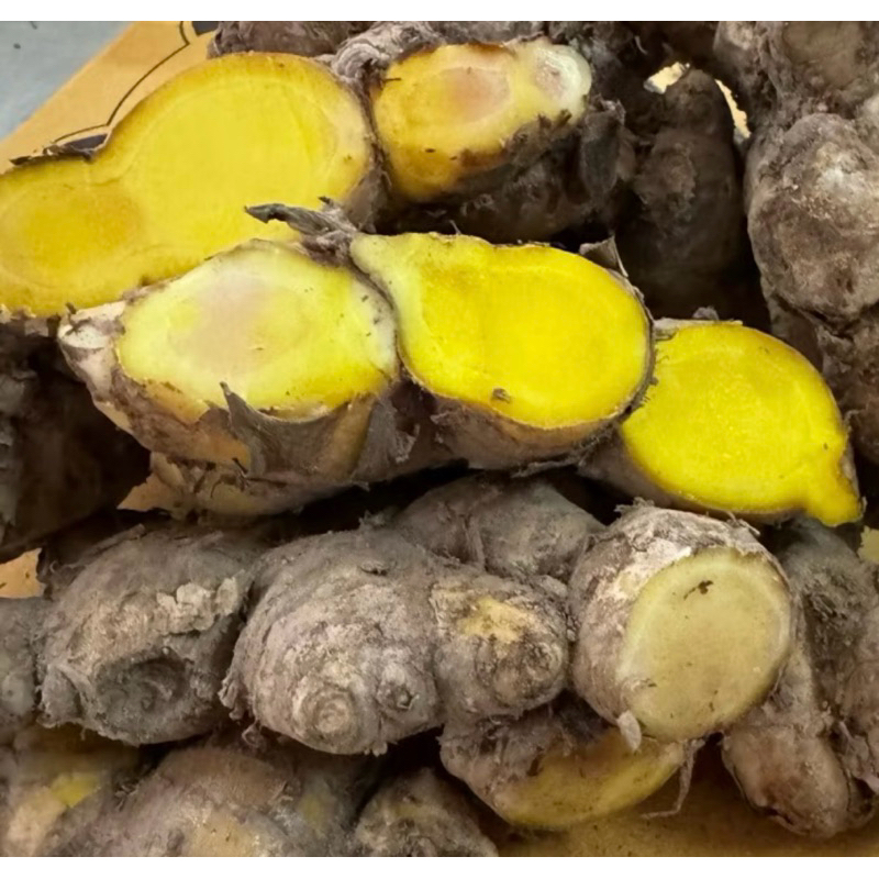 ไพรเหลืองหัวสดหนึ่งกิโล