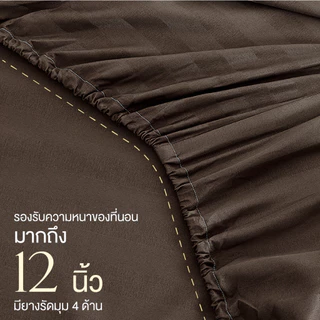 ibed ชุดผ้าปูที่นอนทอลายครบเซ็ท Softex Satin (ทอลายริ้ว) 3.5 ฟุต,5 ฟุต,6 ฟุต - STRIPED COLLECTION