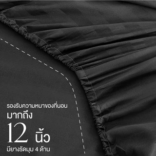 ibed ชุดผ้าปูที่นอนทอลายครบเซ็ท Softex Satin (ลายริ้ว) Charcoal - STRIPED COLLECTION