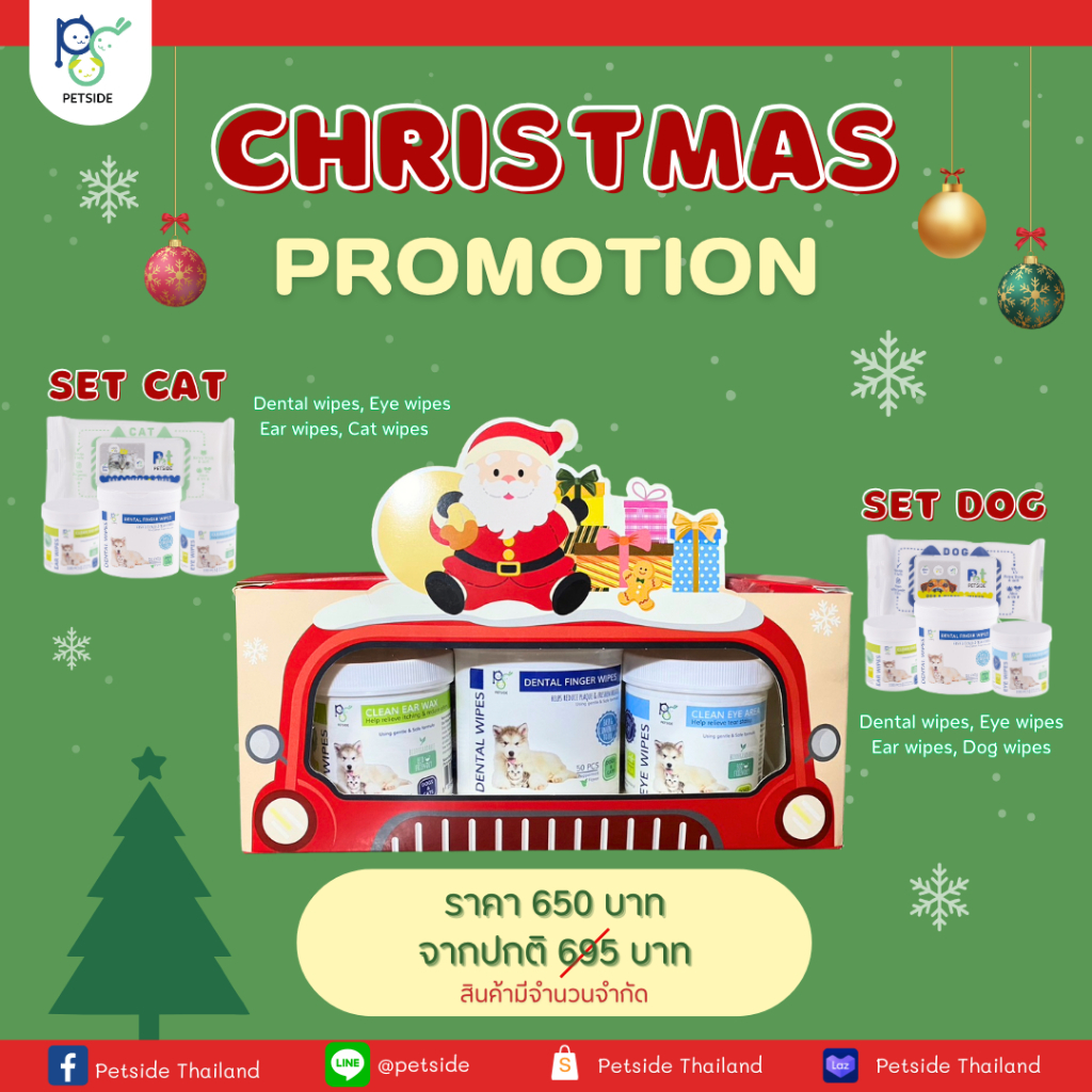 CHRISTMAS PROMOTION