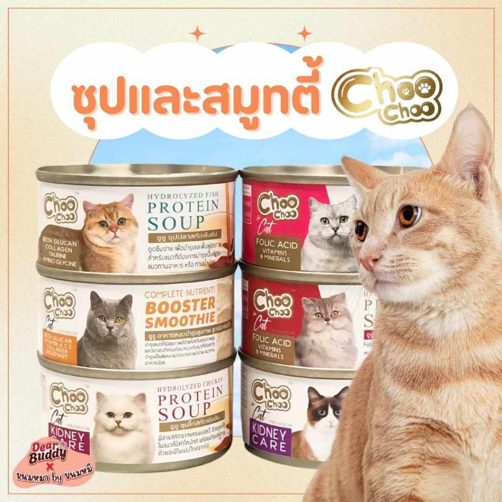 ChooChoo ขูชู อาหารเสริมบำรุงแมว 1 กระป๋อง สมูทตี้บำรุงแมว ทานง่าย หอม อร่อย 80 กรัม