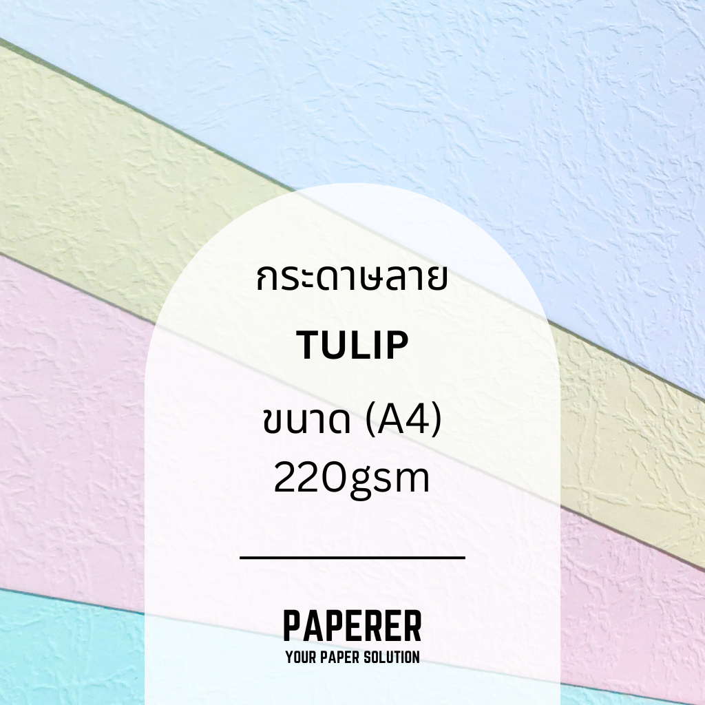 กระดาษ Texture ลาย TULIP (A4) (แพ็คละ 50 แผ่น) (220gsm.) ขาว ครีม ชมพู ฟ้า