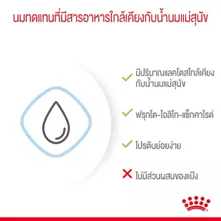 Royal Canin Mother&BabyDog นมลูกสุนัข 2 กิโลกรัม Milk Replacement Mother BabyDog นมสุนัข