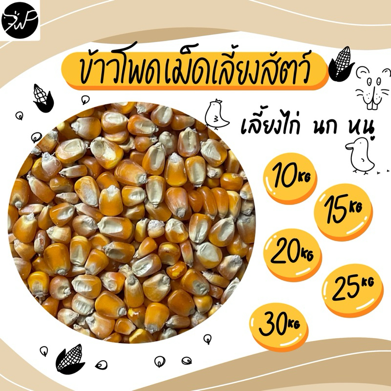 แบ่งขาย ข้าวโพดเม็ด สำหรับเลี้ยงสัตว์ 10กก.,15กก.,20กก.,25กก. และ 30กก.🌽🐔🦆🪿🐹🦜