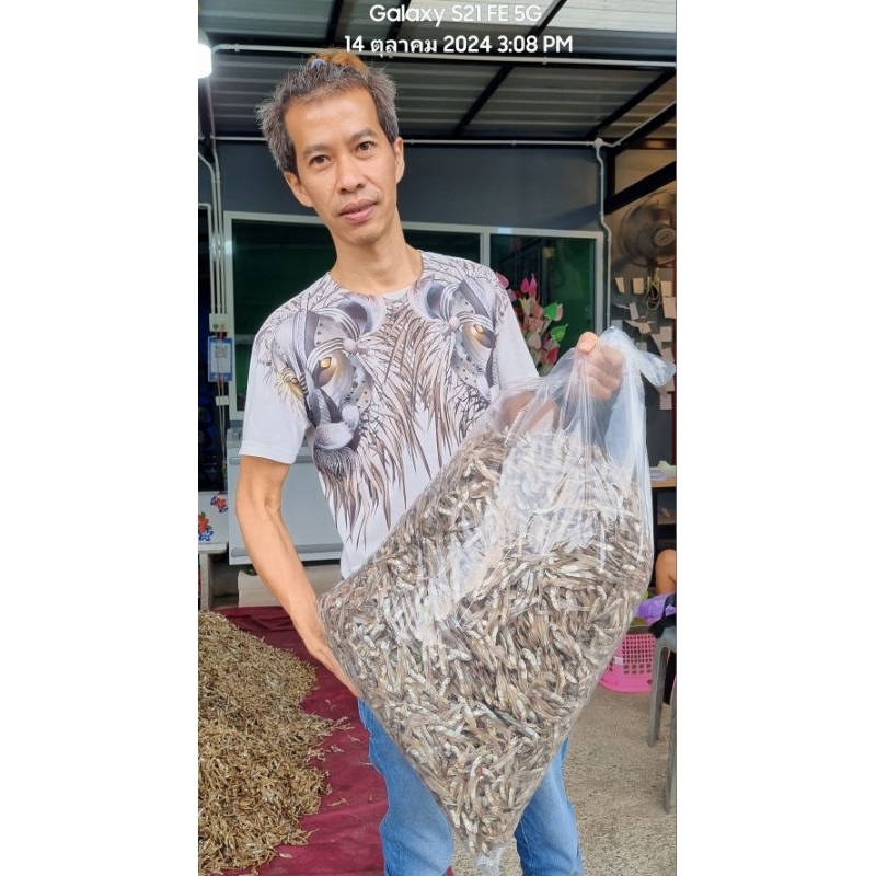 ปลาฝอยมีหัว 1 กก ปลาฝอยแคลเซี่ยม