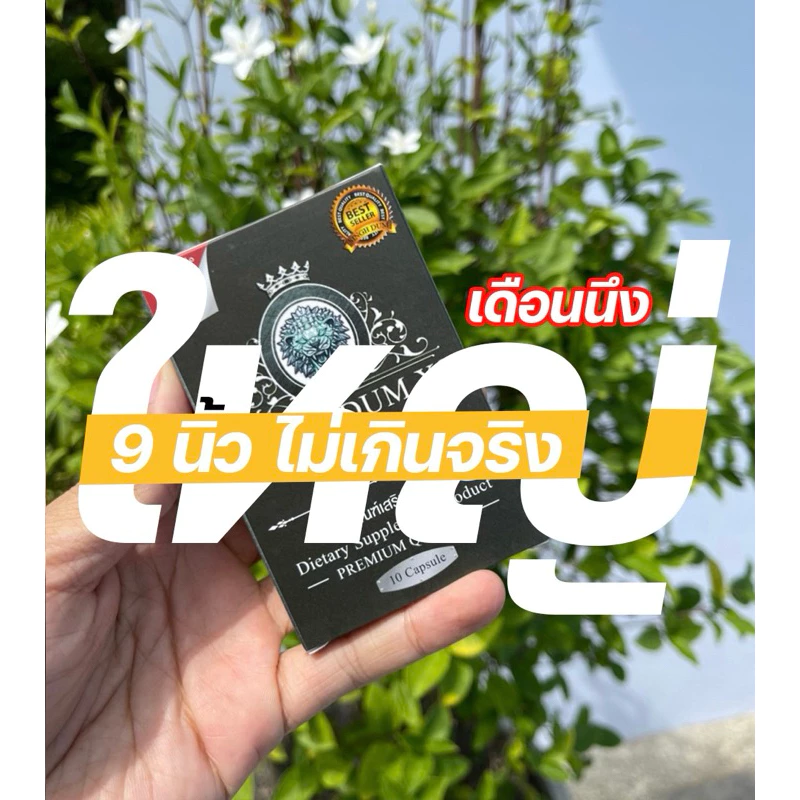 SINGHDUM | แข็งอึด เพิ่มน้อง ไป 9