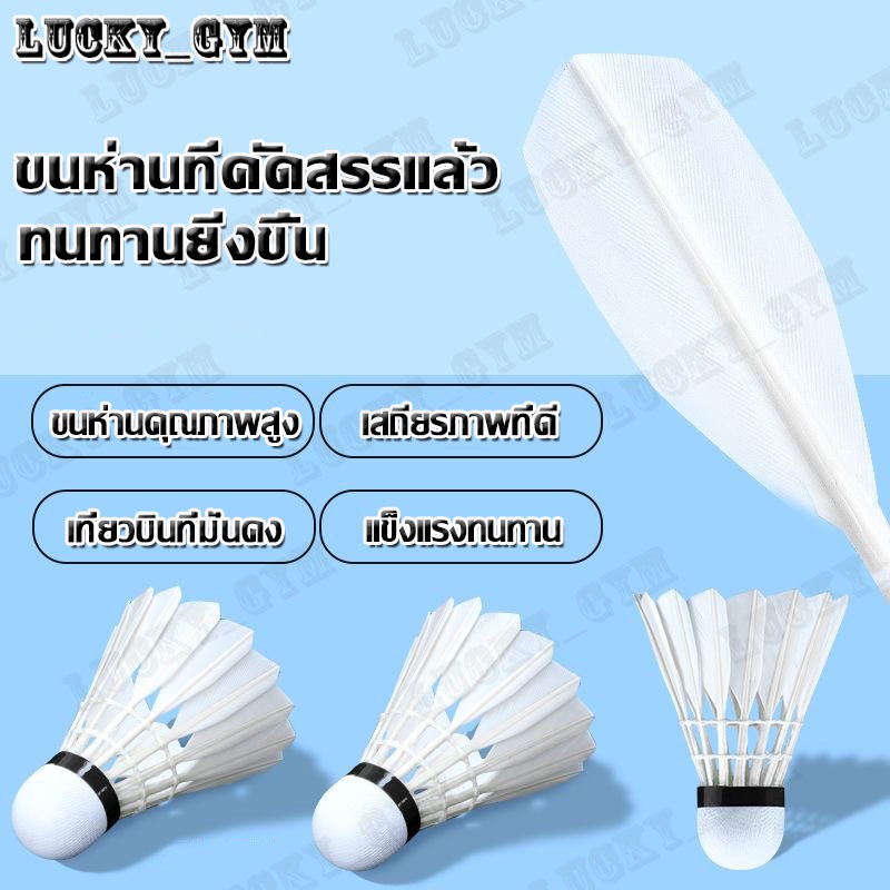 จัดส่ง 48ชั่วโมง ลูกขนไก่ AR ลูกแบด ลูกแบดมินตัน ขนไก่ Badminton ขนห่านเกรดพรีเมี่ยม  ลูกแบดพลาสติก ลูกขนไก่ AR