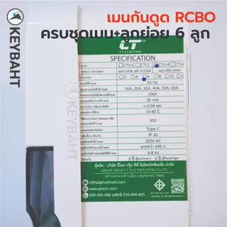 ตู้คอนซูมเมอร์ 6 ช่อง เมนกันดูด RCBO พร้อมลูกย่อย 6 ลูก รุ่น CTU-R6 แบรนด์ CT electric