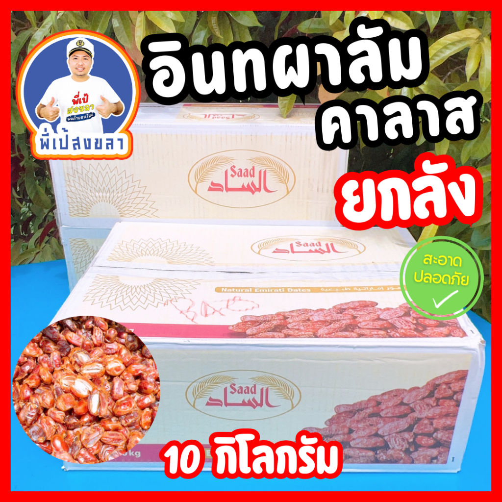 อินทผลัมสายพันธุ์คาลาส 1 ลังน้ำหนัก 10 กิโลกรัม