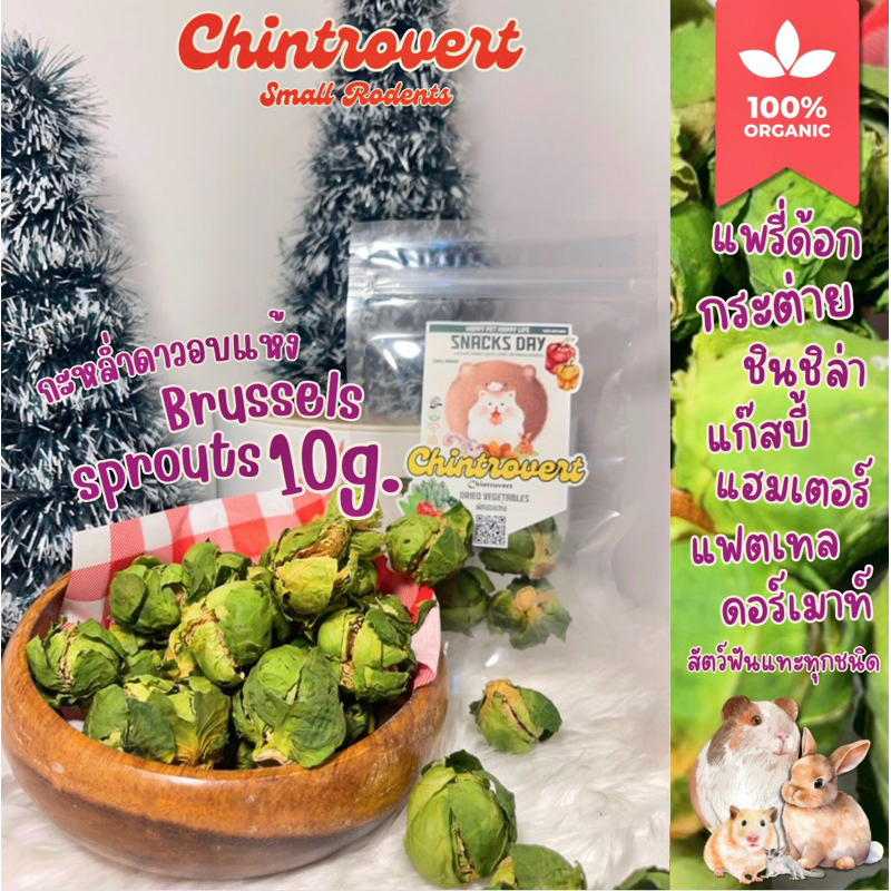 Chintrovert ✨| Dried Brussels sprouts กะหล่ำดาวอบแห้ง 10g. | กระต่าย ชินชิล่า แฮมเตอร์ แฟตเทล ดอร์เมาท์ ดัมโบเรท