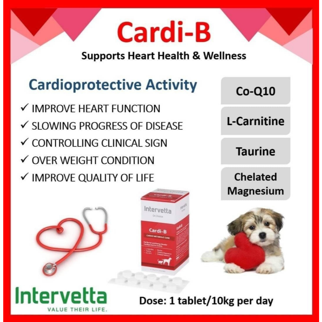Intervetta Dr.Choice อาหารเสริม วิตามิน สำหรับสุนัขและแมวทุกสายพันธุ์ (100 เม็ด) - รูปที่ 2