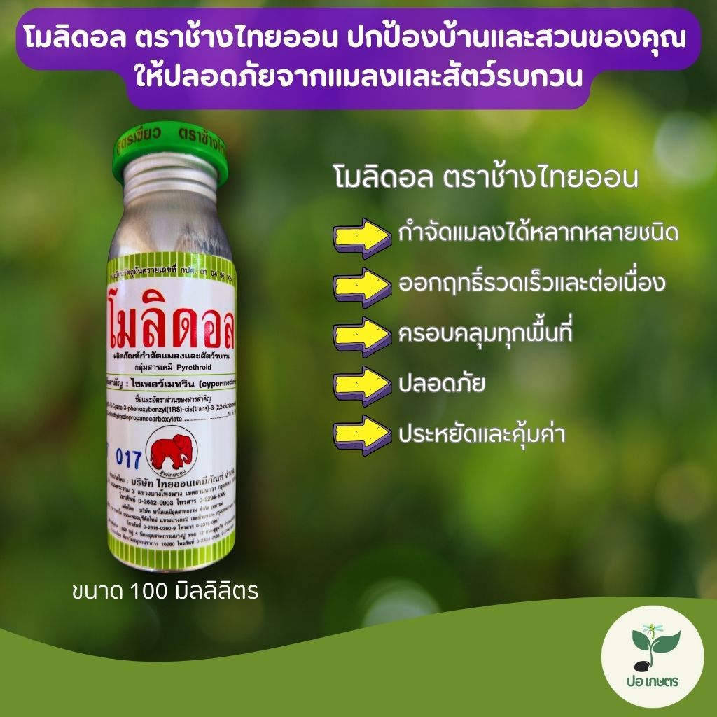 โมลิดอล (100 ซีซี) [ไซเพอร์เมทริน] ตราช้างไทยออน ตัวช่วยกำจัดแมลงครบวงจร ได้ผลทันที ครอบคลุมทุกพื้นที่ ใช้ง่าย