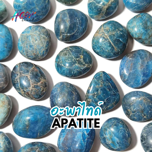 หินขัดมน " Apatite " อะพาไทต์ หินแห่งการสื่อสาร ปลุกความคิดสร้างสรรค์ ความมั่นใจและการแสดงออก