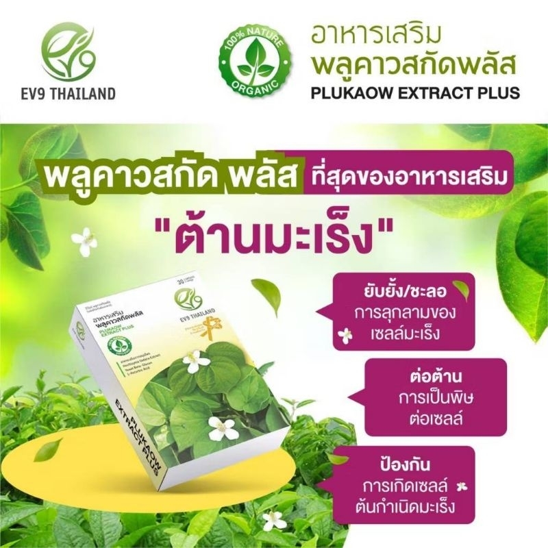 EV9พลูคาวแคปซูล1กล่อง30แคปซูลของแท้/ส่งฟรี