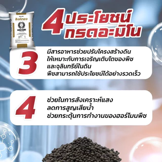 [[แบ่งขาย 950 กรัม]] ปุ๋ยอินทรีย์สิงห์ทอง แสนราชสีห์ ปุ๋ยบำรุงดิน เร่งโต เพิ่มใบเขียว เสริมแร่ธาตุทำให้ดินร่วนซุย