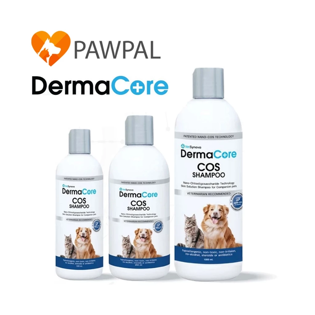 DermaCore COS Shampoo 100 ml 250 ml 🔥 Exp.2028 แชมพูสำหรับโรคผิวหนังติดเชื้อรา แบคทีเรีย ยีสต์ สุนัขและแมว