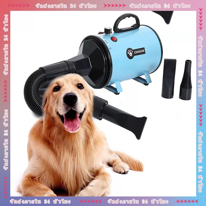 6800W ไดร์เป่าขนหมา & ไดร์เป่าขนสัตว์ เสียงเบา เครื่องเป่าขน ไดร์ไล่น้ำ ไดร์เป่าขนสุนัข
