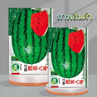 30 เมล็ดเมล็ดพันธุ์แตงโมยักษ์ เนื้อสีแดง หวานสุดๆ ปลูกง่ายลูกโต