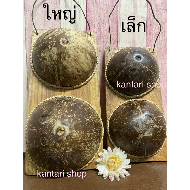 (เล็ก) กะลานวดเท้า กะลานวดเพื่อสุขภาพ คลายกล้ามเนื้อขา คอ เท้า หลัง