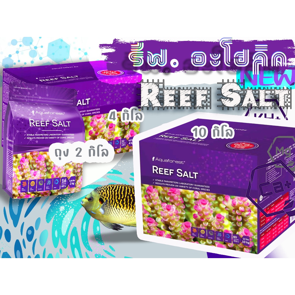 Aquaforest Reef Salt เกลือทะเล แพ๊คเกจ 2 / 4 / 10 Kg. เป็นกล่อง เป็นถุงเน้นขนาดพอดีใช้งาน แจ่มว้าว!