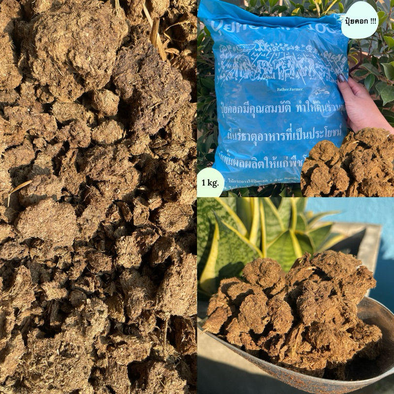 ส่งด่วน Yodthong.Farm พร้อมส่ง ร้านไทย ถูก ปุ๋ยคอก ขี้วัวแห้ง100% บดละเอียดล้วน บำรุงต้นไม้ ธรรมชาติแท้ มูลสัตว์ มูลวัว