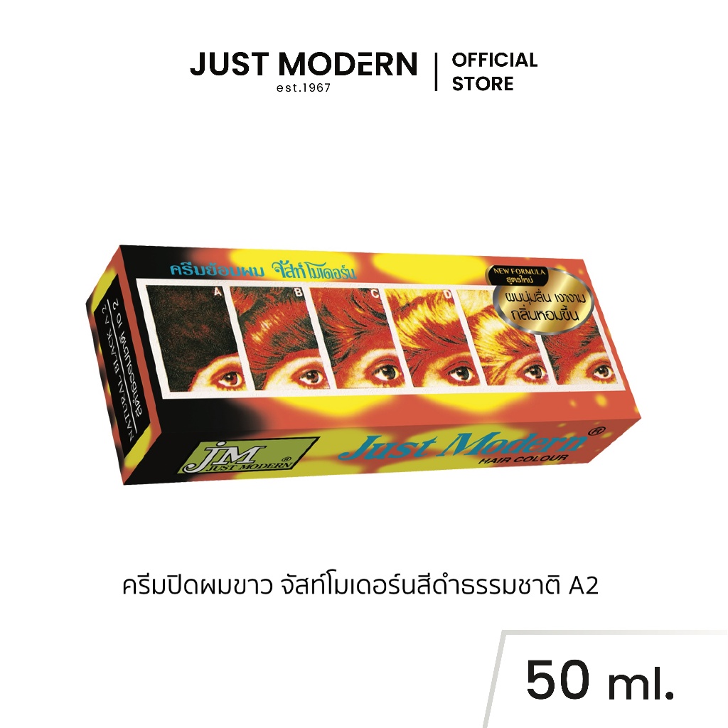 Just Modern (จัสท์โมเดอร์น) ครีมย้อมผม ปิดผมขาว สีดําธรรมชาติ เอ2 Grey Coverage Hair Cream Natural B