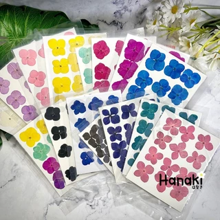 【พร้อมส่ง】ดอกไฮเดรนเยียสีพาสเทลทับแห้ง ดอกไม้จริงทับแห้ง ดอกไม้ทับแห้ง Pressed Flowers💐